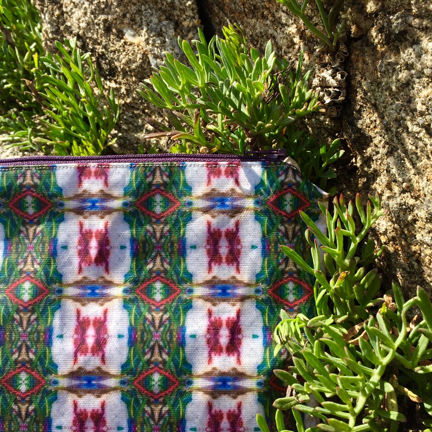 <img src=IMG_5207_pochette_nicet.jpg" alt="